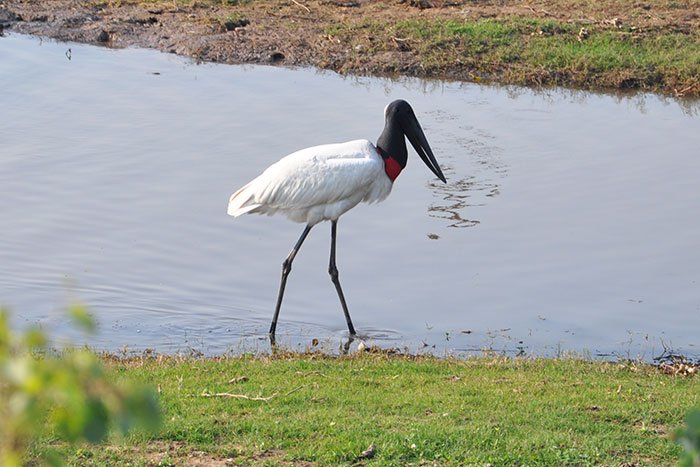 contacto formosa turismo