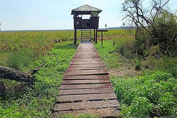 parque nacional rio pilcomayo